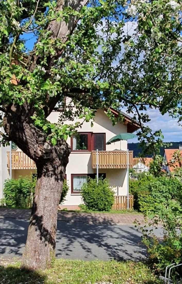 Apartamento Kleinod Am Kurpark Bad Zwesten Exterior foto