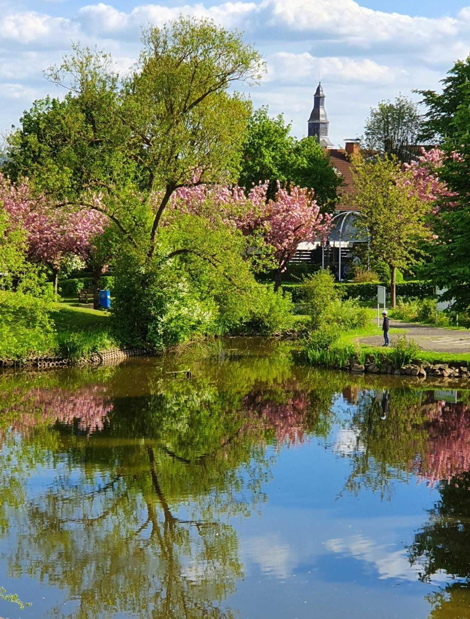 Apartamento Kleinod Am Kurpark Bad Zwesten Exterior foto
